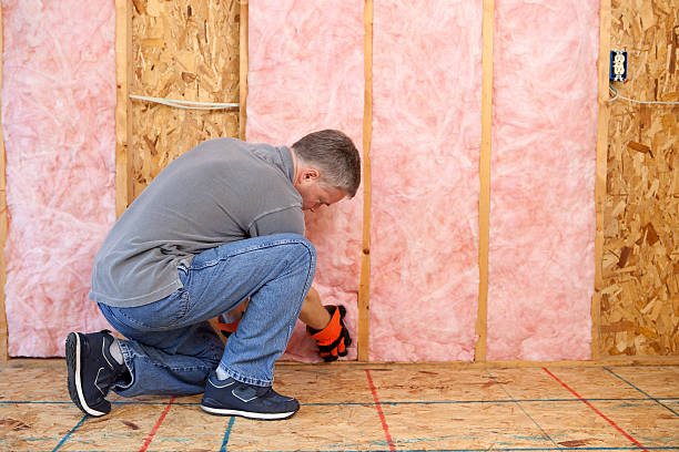 Best Residential Insulation Services  in Litchfield, MI