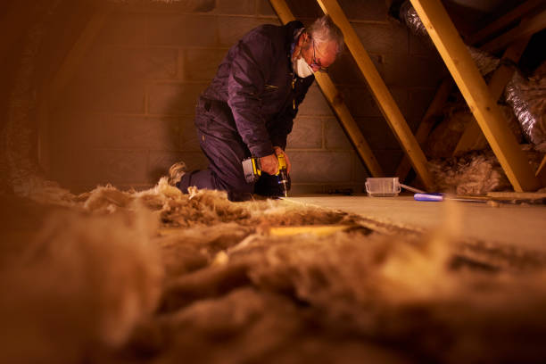 Best Insulation Contractors for Homes  in Litchfield, MI